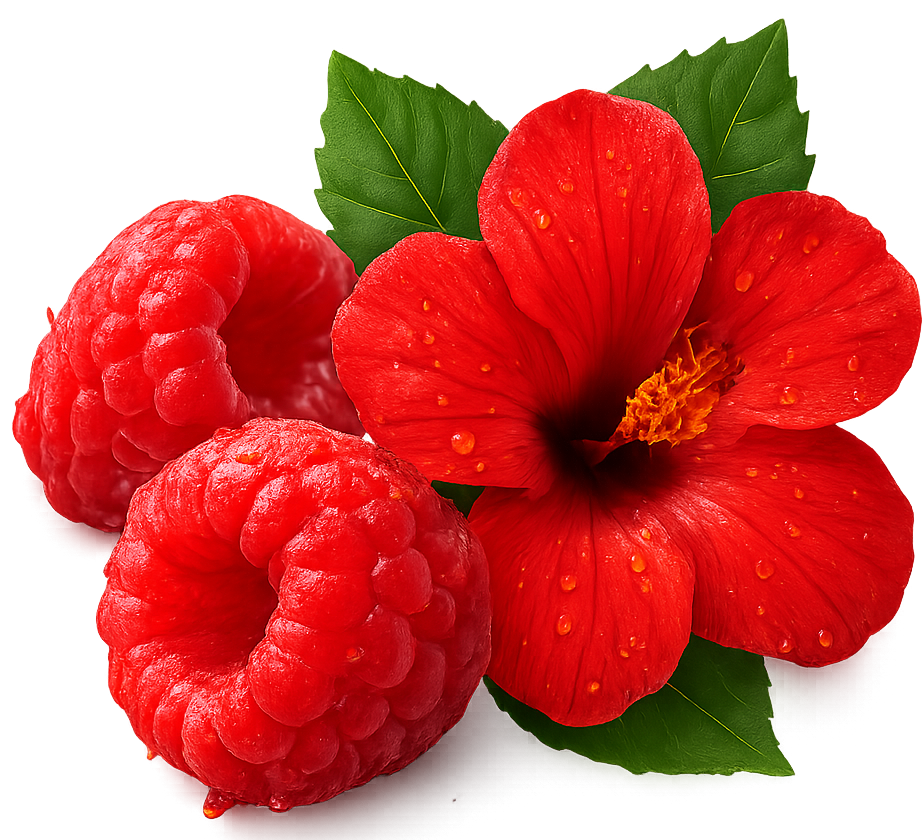 Viwa Vitality Electrolytes | Raspberry Hibiscus 600ml
