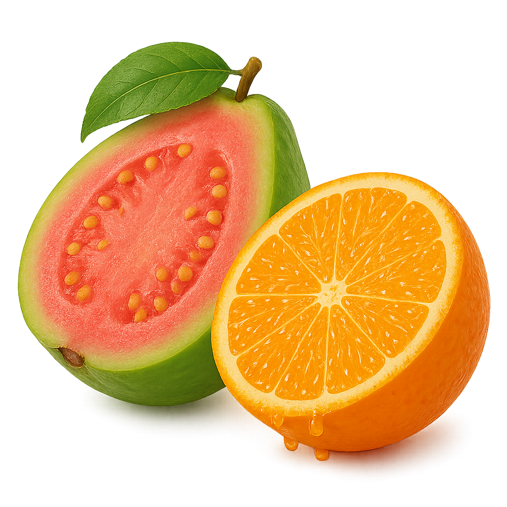 Viwa Magnemax Magnesium | Guava-Orange 600ml